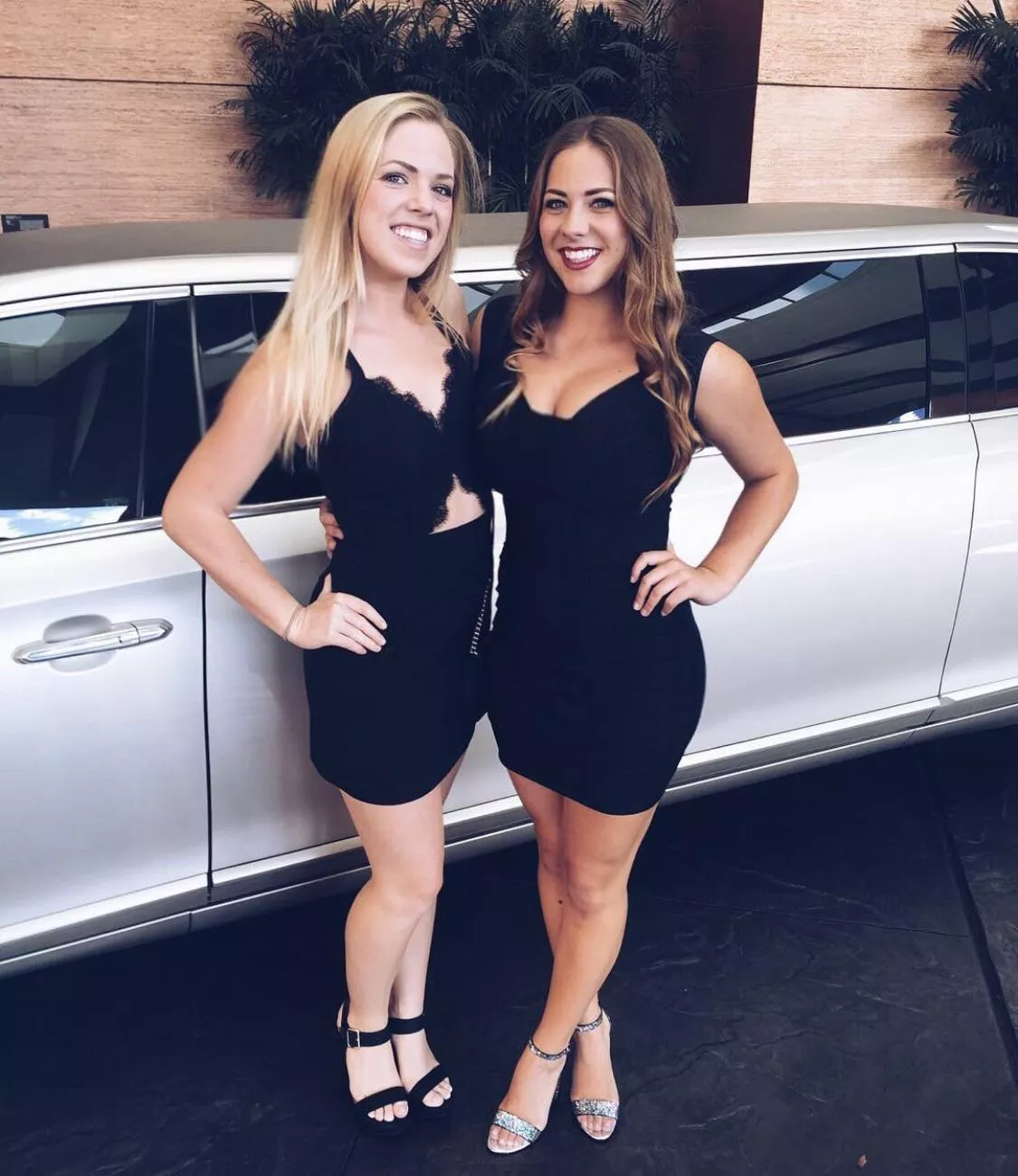 Limo Riders