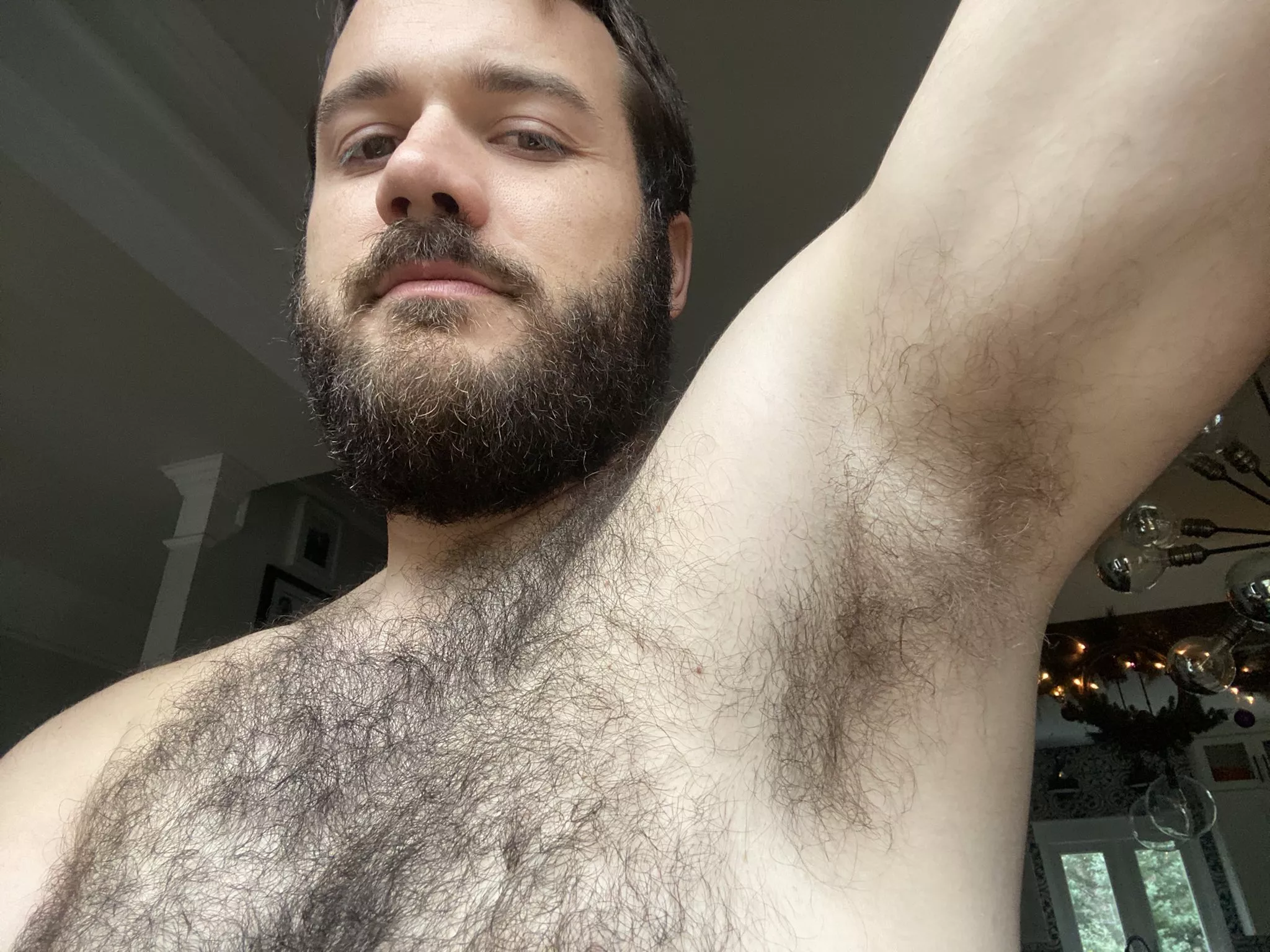 Line up for a whiff piggies.