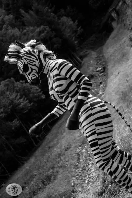 Lisa, wanted to feel the wind, like a pony but she never fully got comfortable with the stable, that couldn't contain her free spirit. But her trainer knew exactly what she needed. Thanks to him, Lisa the Zebra is enjoying her life to the fullest.