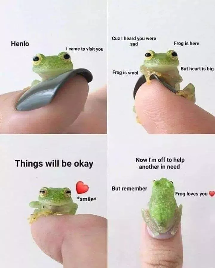 Listen to frog, he knows ❤️