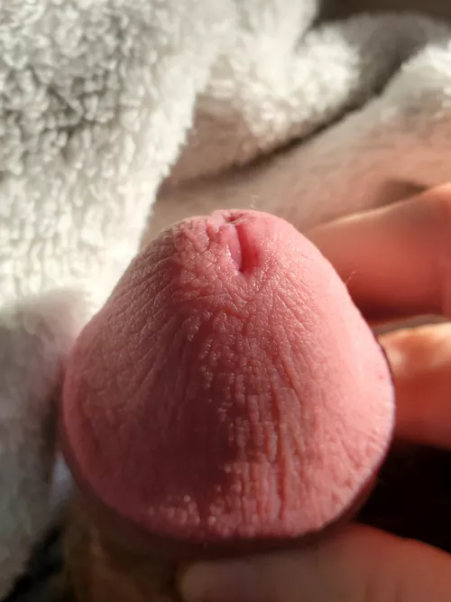 Little bit of precum glistening in the sunlight