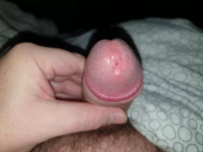 Little drop of precum, lick it!