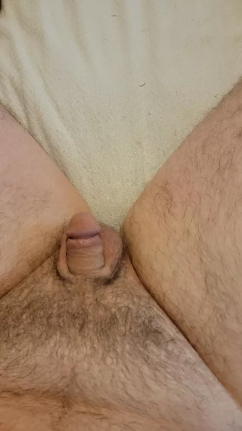 Little guy resting on his pillow. (55)