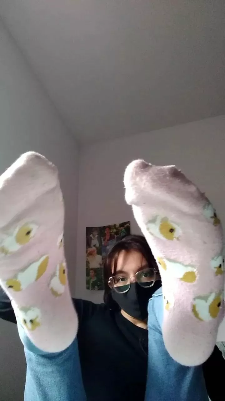 Little hamster socks :) I could put your face right in the middle