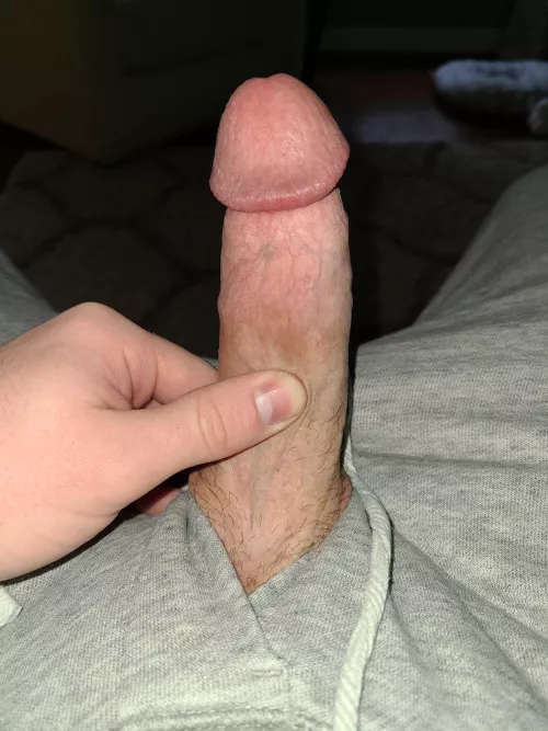 Little morning wood