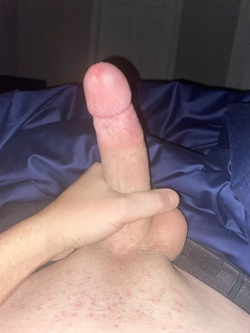 Little morning wood to start your day