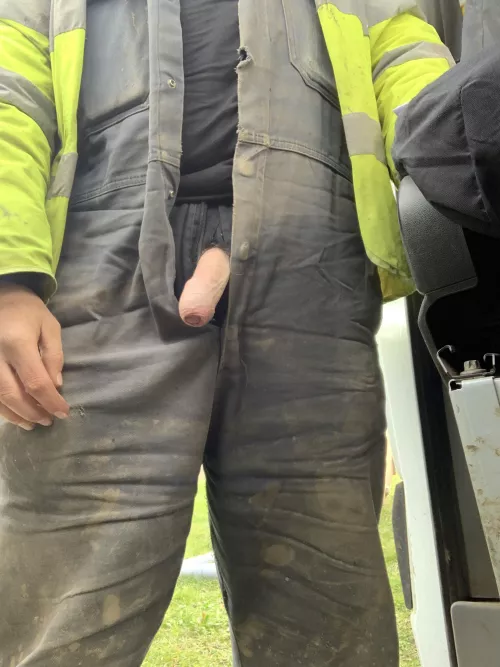 Little poke out on a very cold Monday morning!