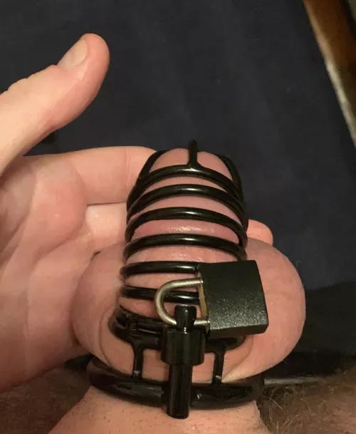 Locked for the night