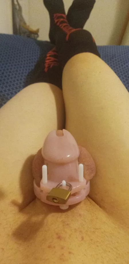 Locked 🔐 just as a good boy should be