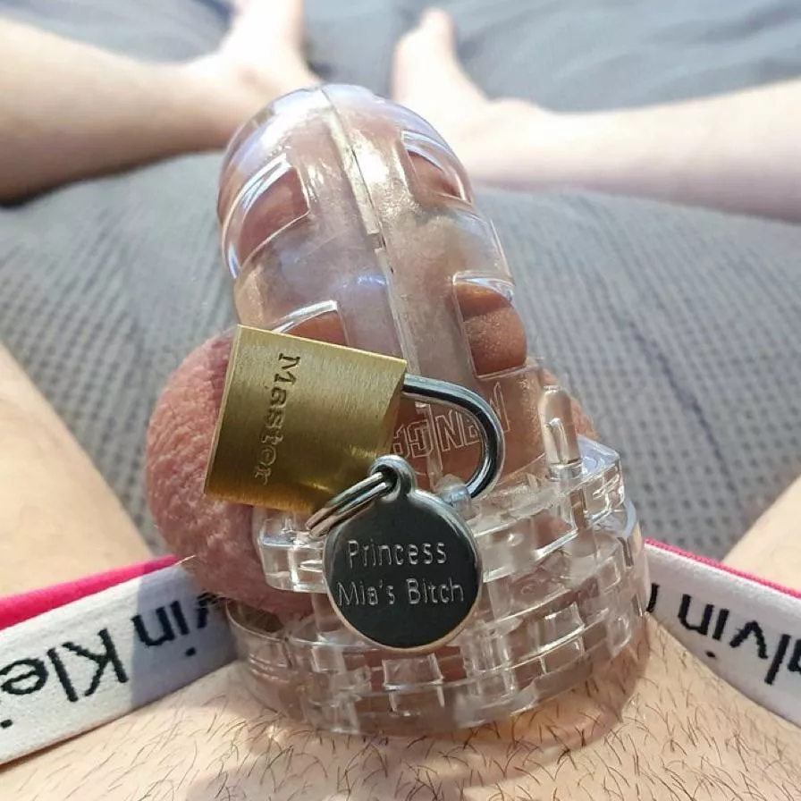 Locked up, panties, and my dog tag. Where he belongs