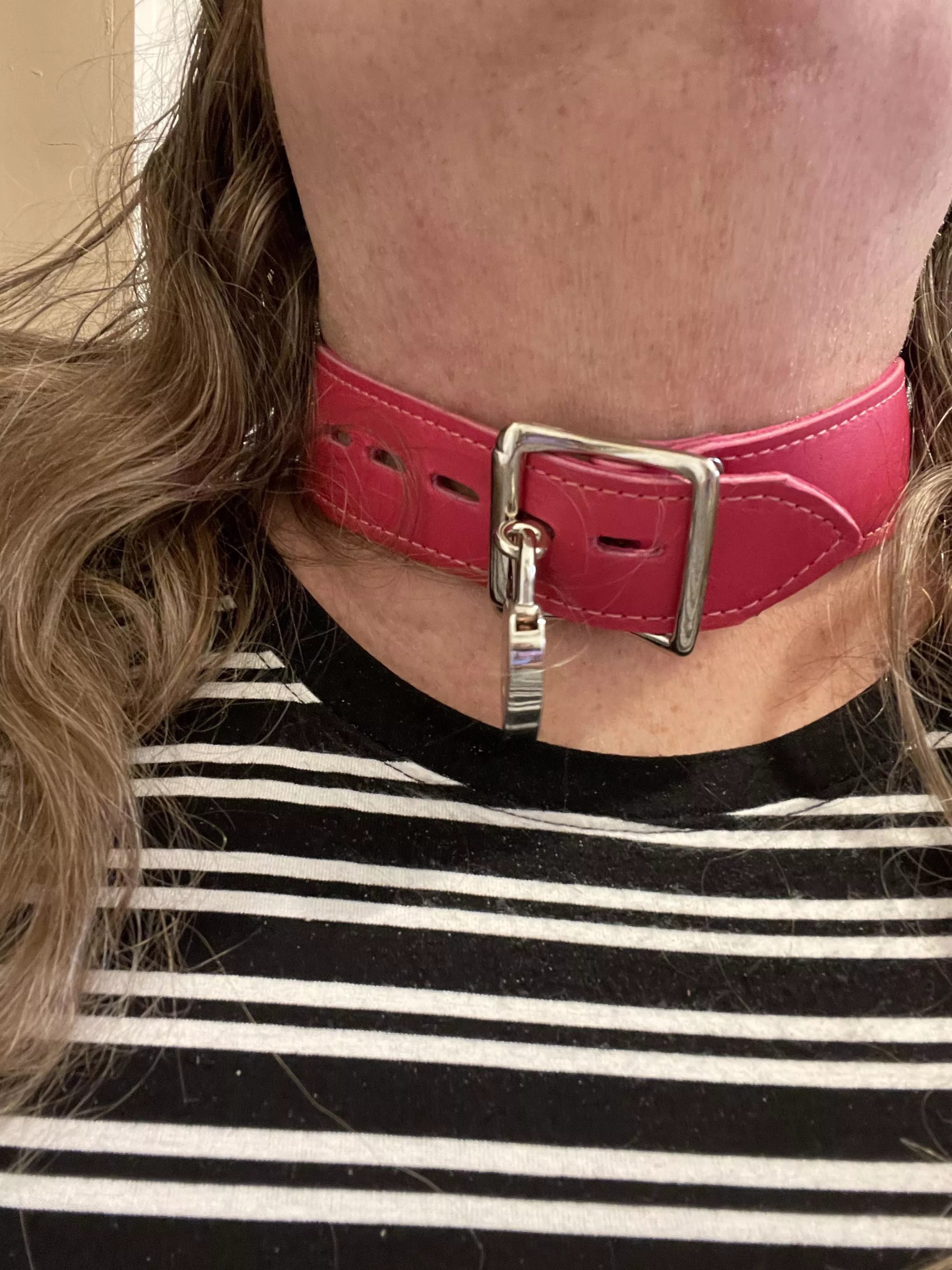 Locked up safely in my new collar Locked up safely in my new collar