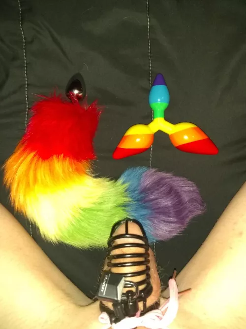 Locktober 16th, Saturday Weekly Event: Butt Plug Day, 3rd weekend, Must complete 6 hour of being plugged! Tomorrow i have off so I'll be wearing my tail to bed tonight... ๐๐ Happy Locktober!