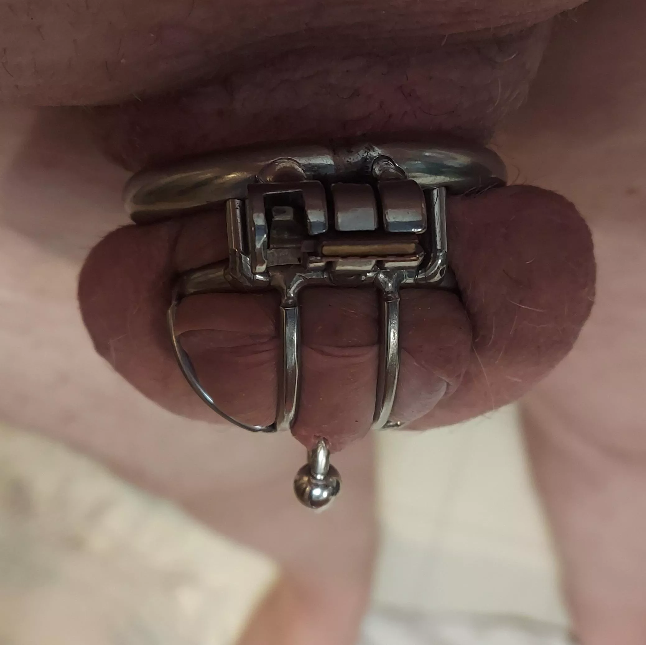 LOctober the 5th. Morning wood.