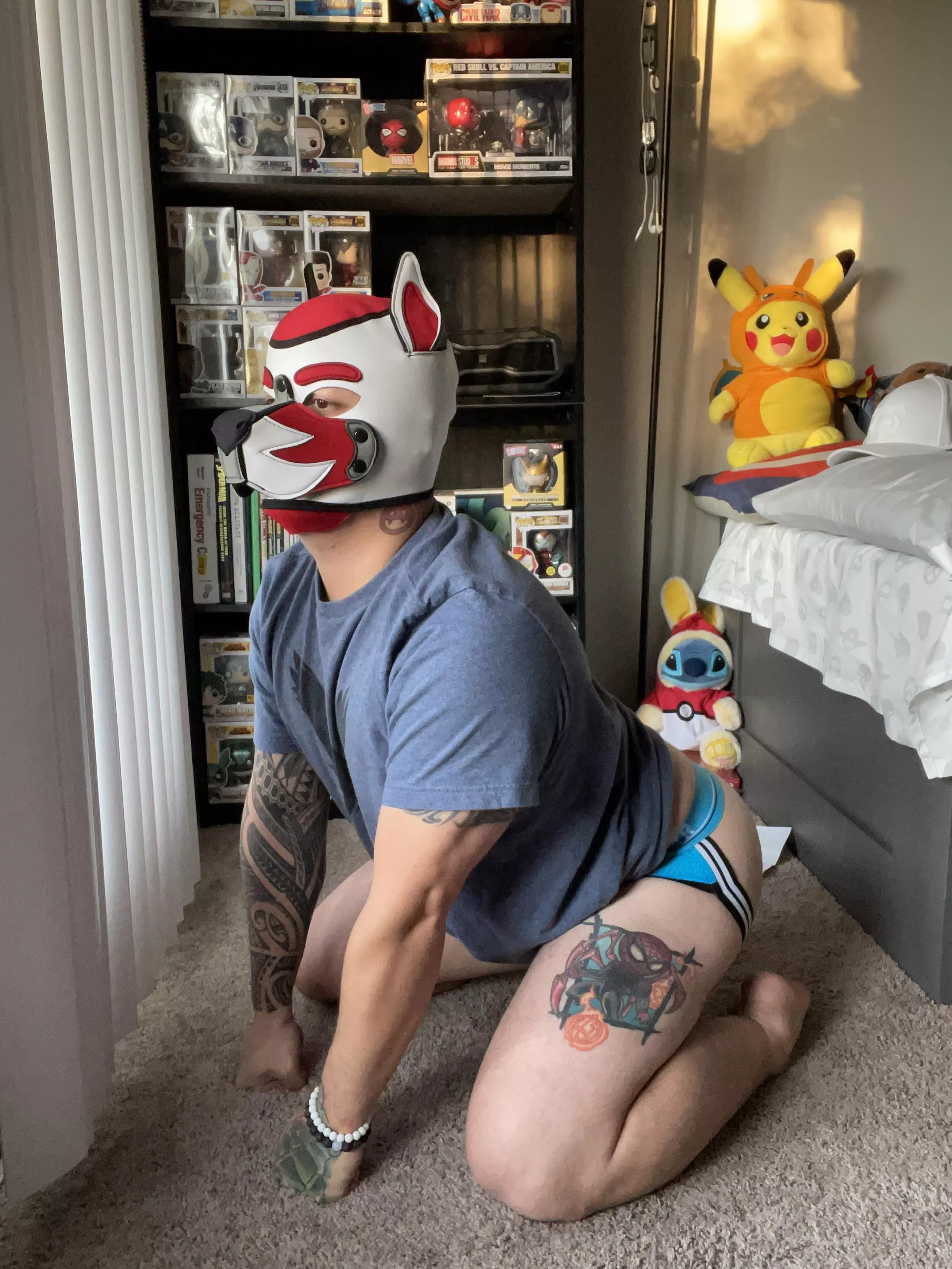 Longing for walkies…