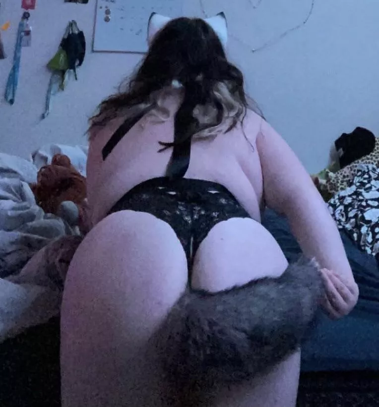Look at my cute tail and ears 💓