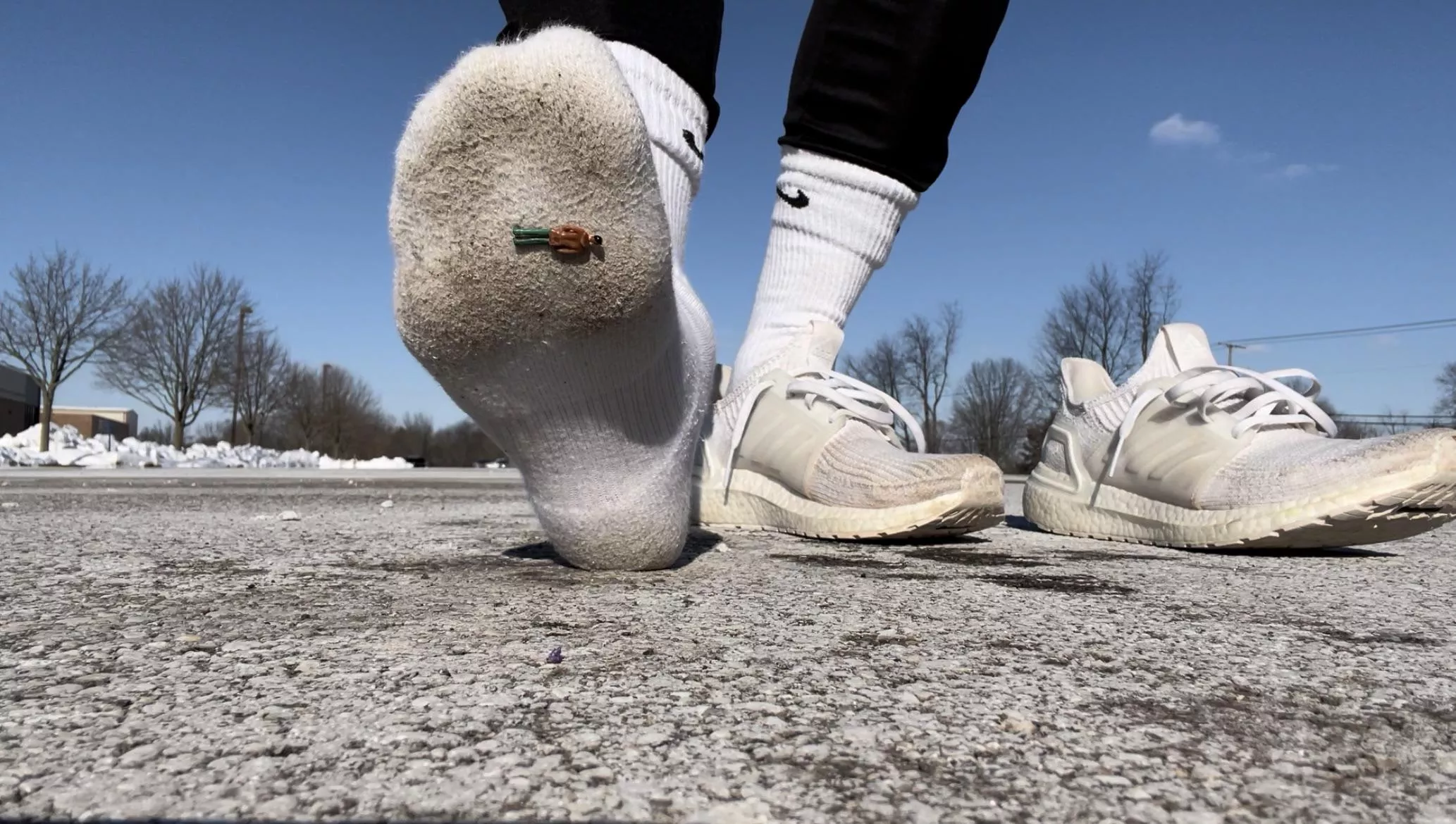 Look at this little guy stuck to the bottom of my foot 🦶🏼🤣