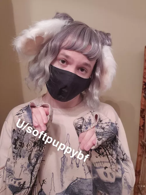 Look how cute my new ears are 🥰🖤🐶 who wants to play?