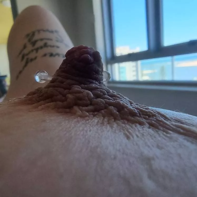 Look how hard my nipples get when I'm horny Look how hard my nipples get when I'm horny