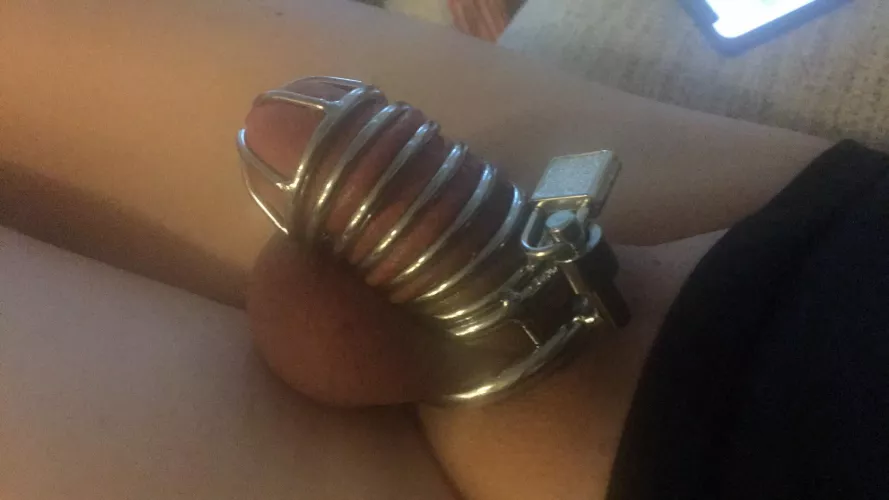 Look what came in the mail today…