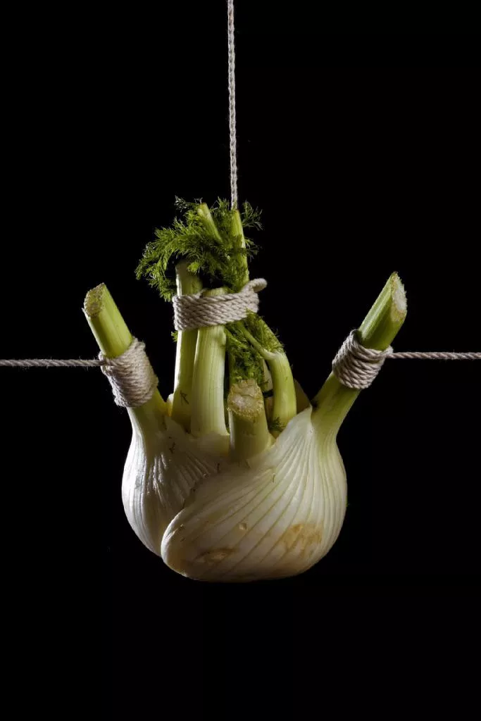 Looked up good bondage was not disappoint