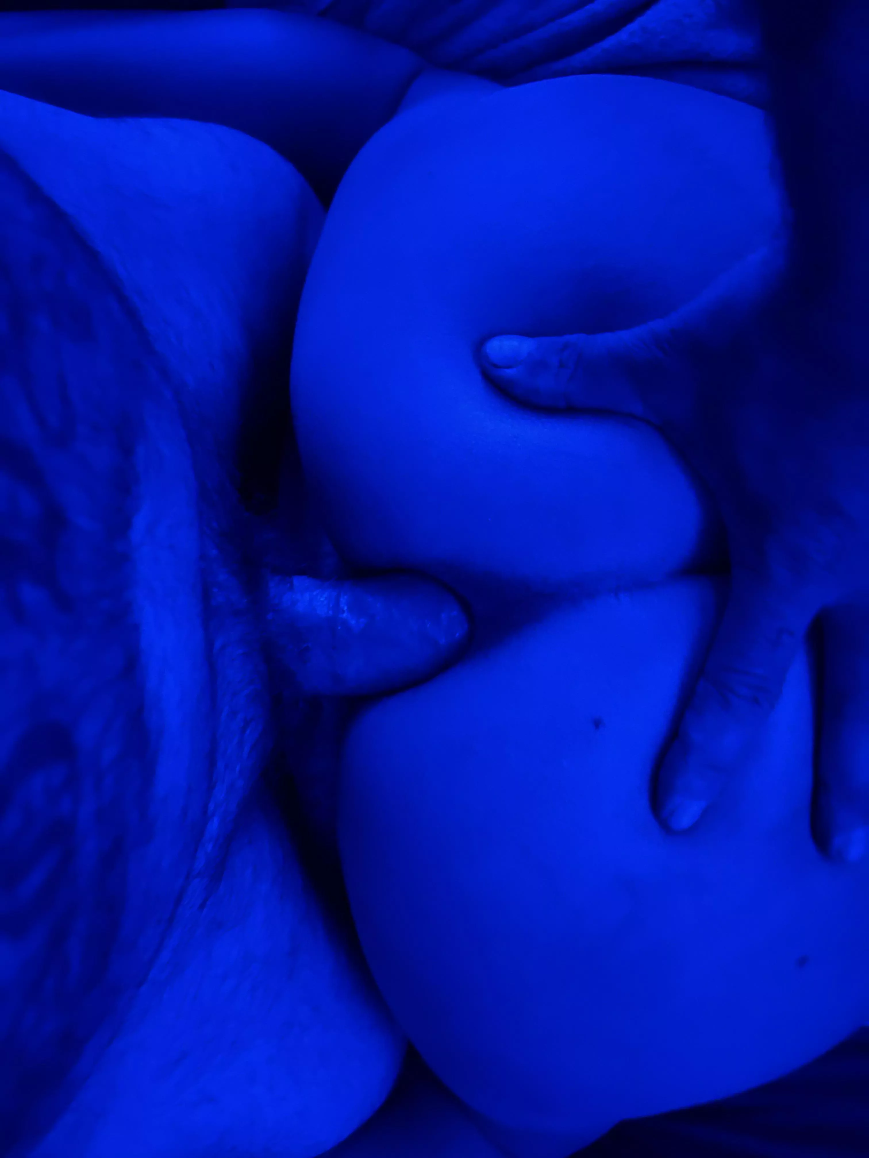 Looking for a 3rd to add to the fun. California couple 🔥