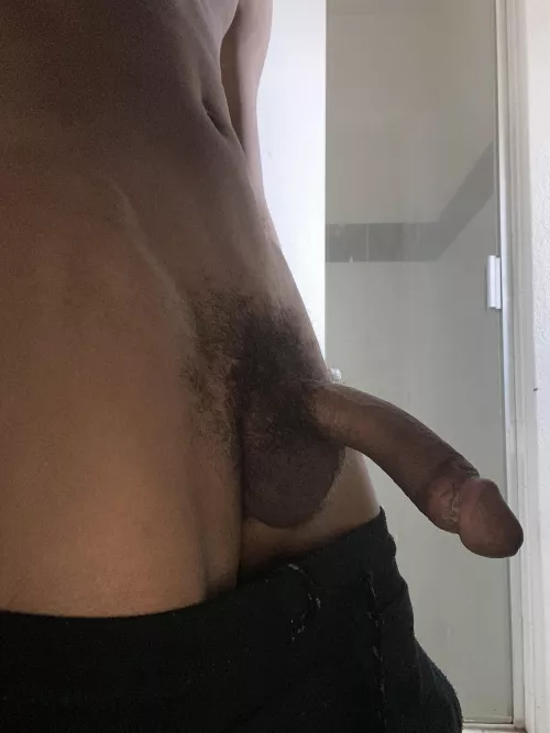 Looking for a black prince to enjoy?