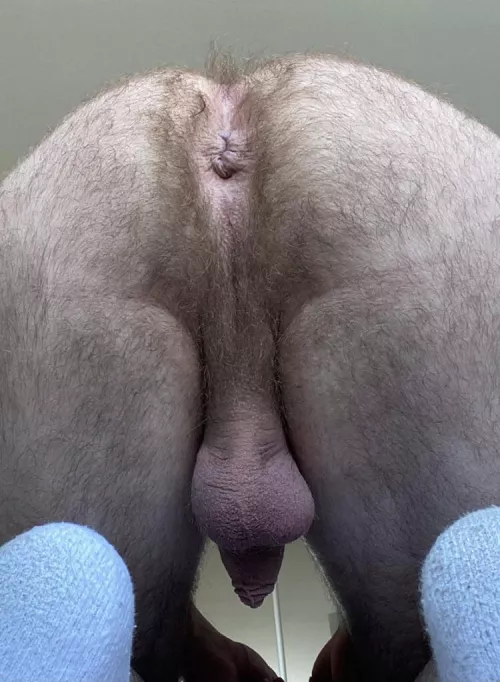 Looking for a buddy with a dirty hairy stinky ass like this for mutual ass worship
