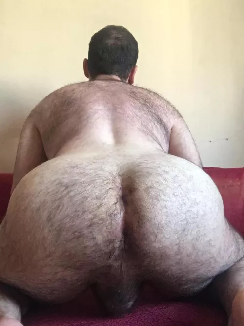 Looking for a ride ?