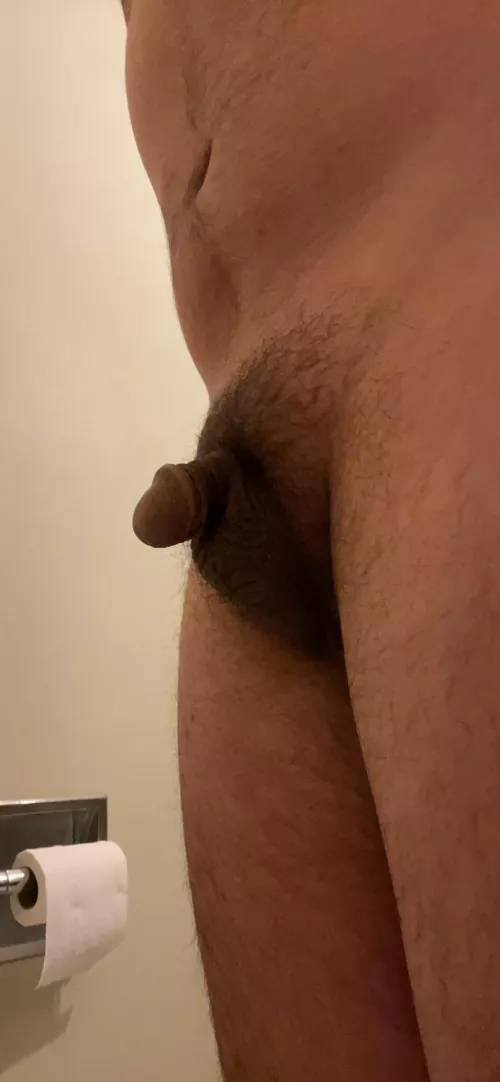 Looking for alpha hung men to degrade and humiliate my cock. DM. Looking for chat with hung tops into incest chat. Snap in profile