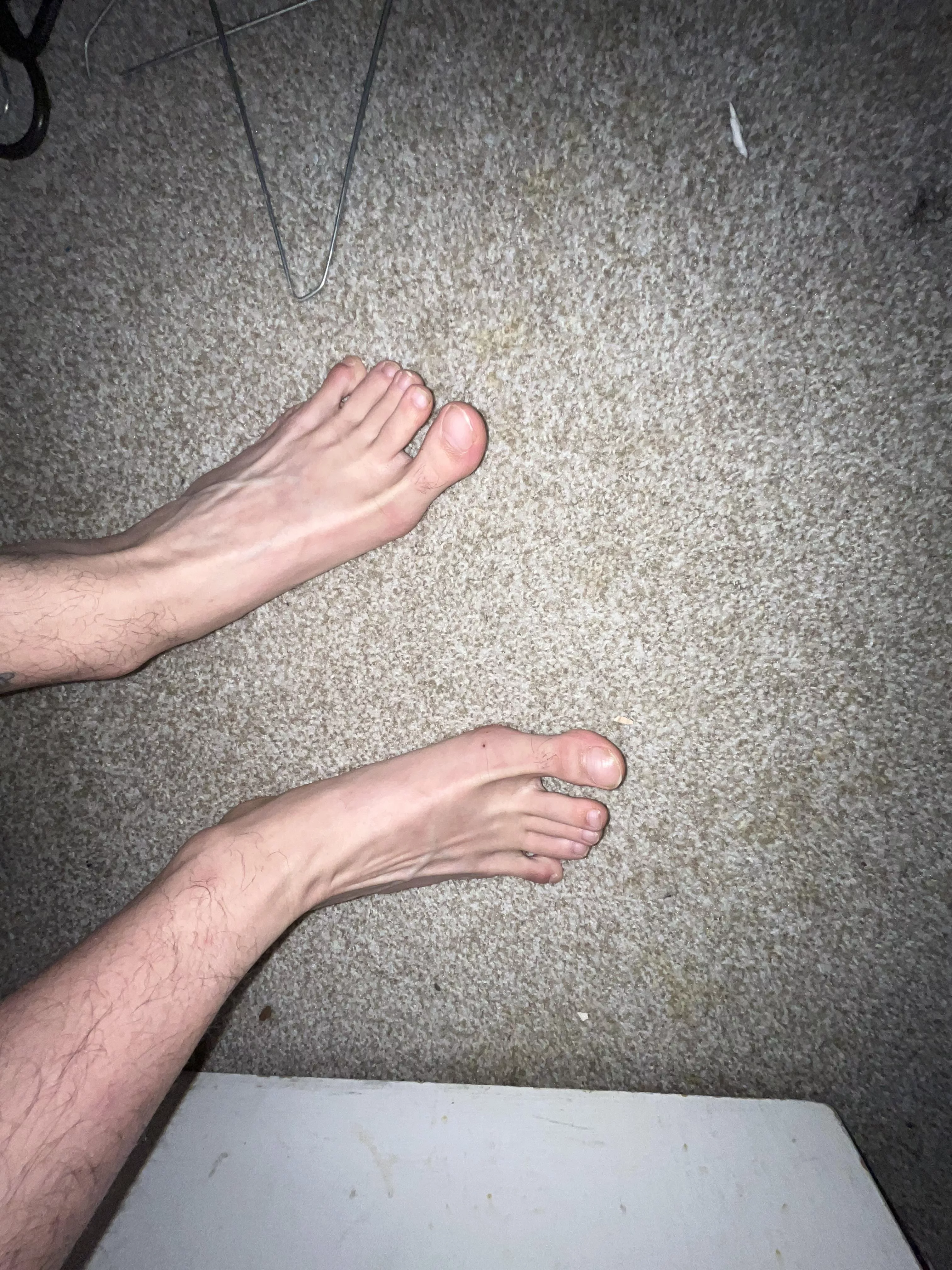 Looking for feet worshipers and daddy’s😈 Looking for feet worshipers and daddy’s😈