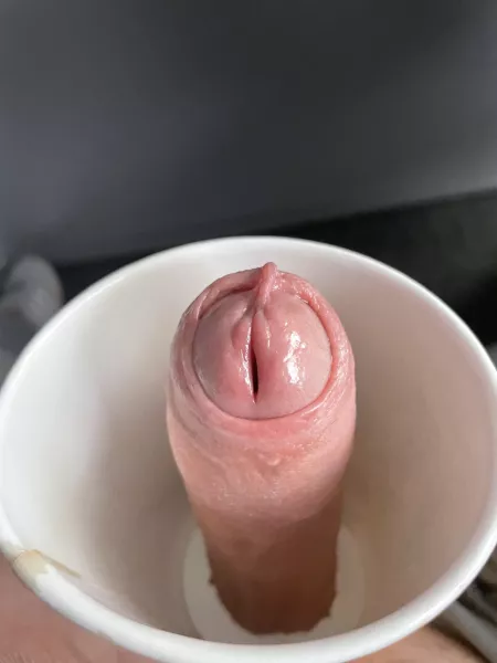 Looking for ideas on what readily available items you guys use. This is one of my favourites. Coffee cups make a good emergency flesh light.