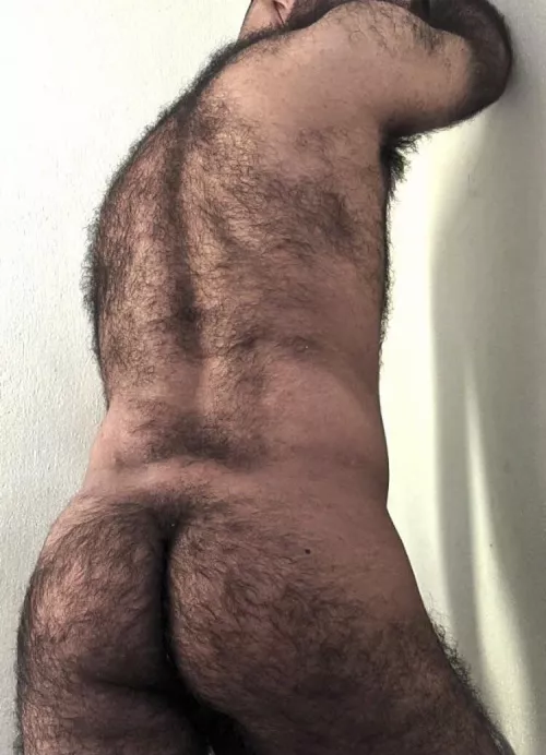 Looking for other big hairy smelly dudes for raw mansex