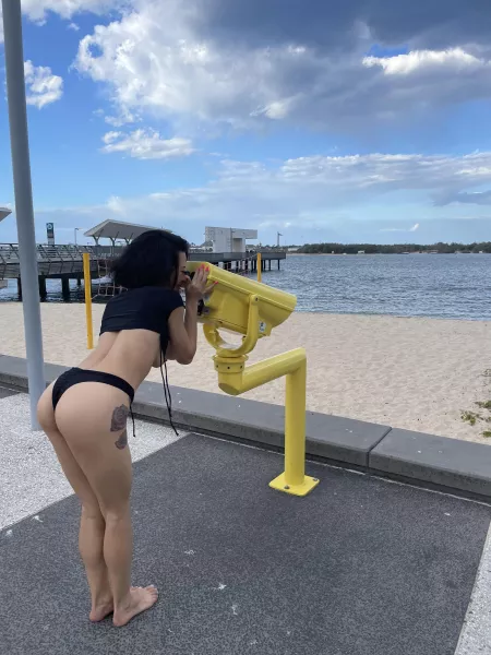 Looking for sharks😂