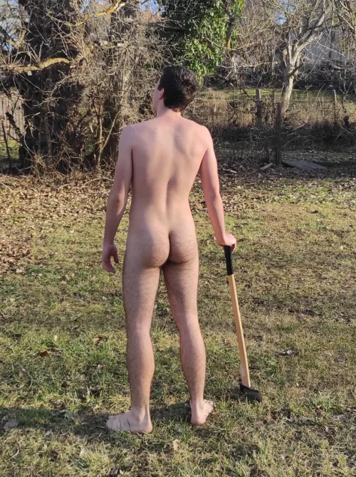 Looking for some wood😉