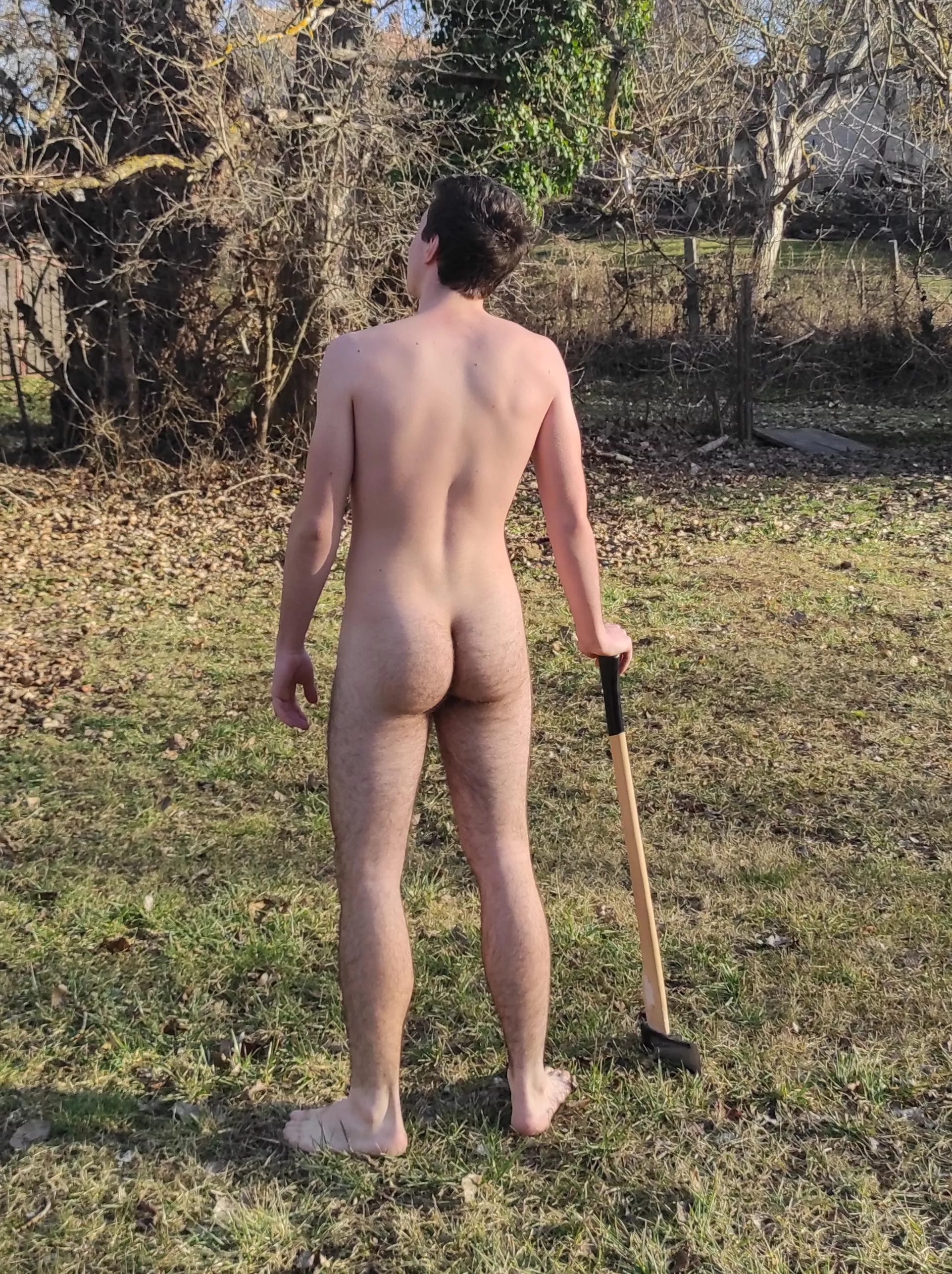 Looking for some wood😉