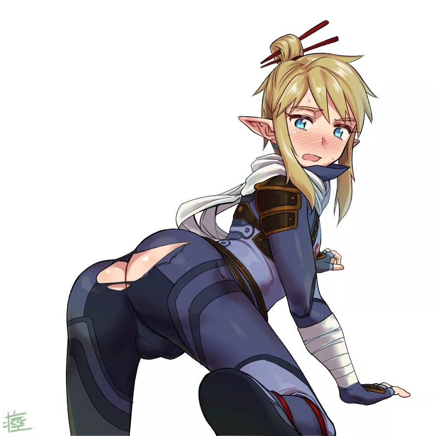 Looks like Link's tights are to tight 🍑