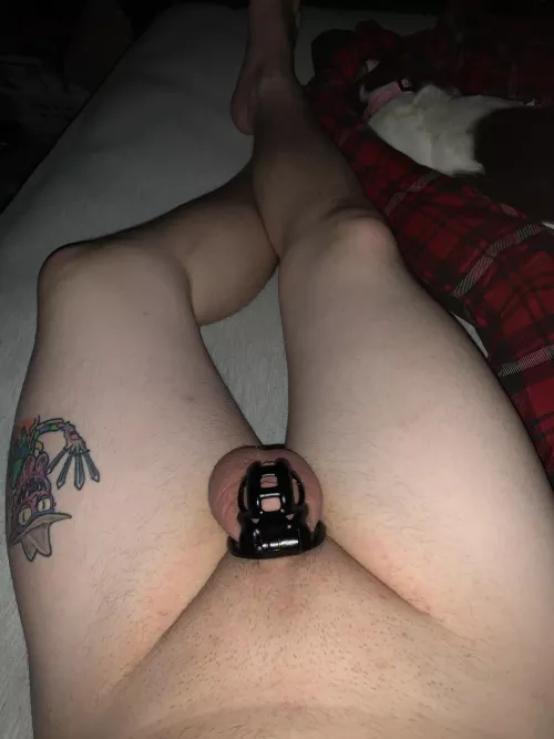 Lost track of how long I have been caged with no end in sight! Wouldn’t want it any other way!!!