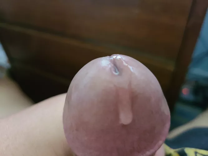 love eating my own precum.