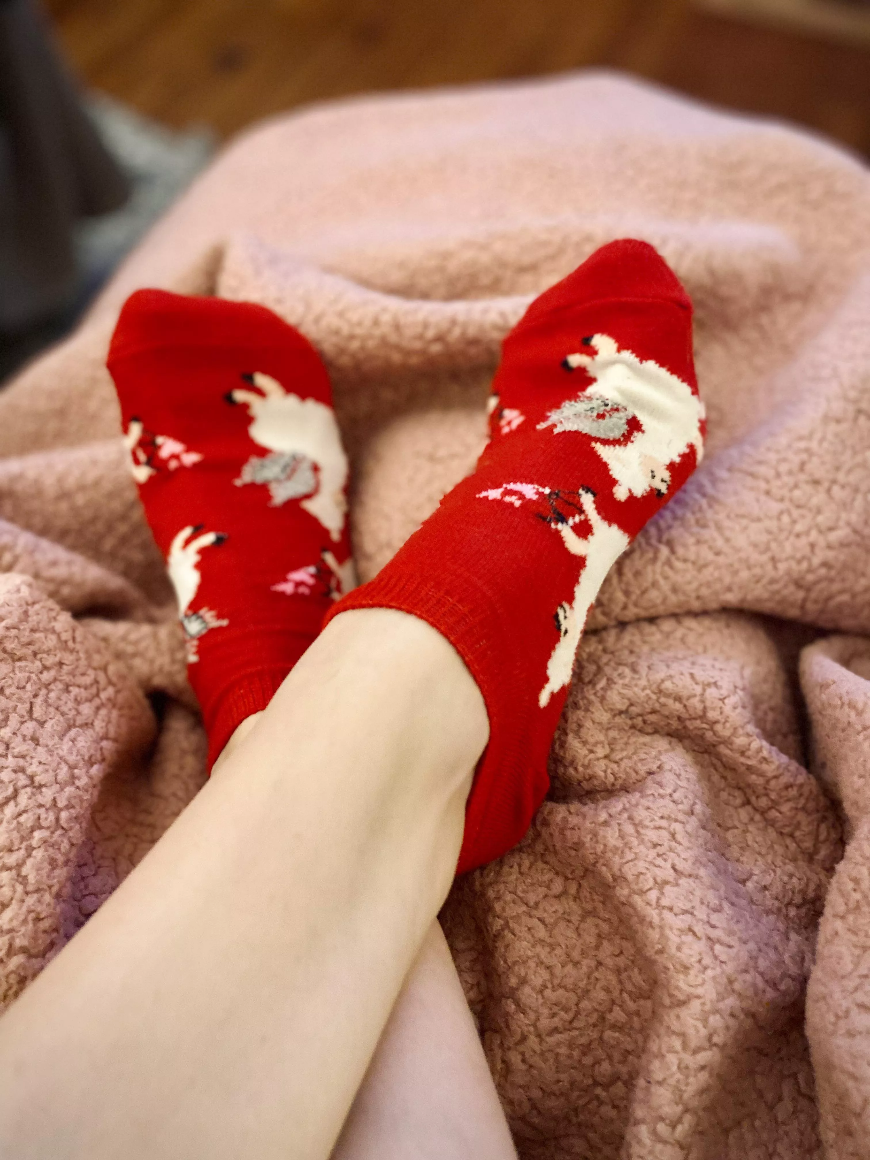 Love is in the air, and on my feet 🥰