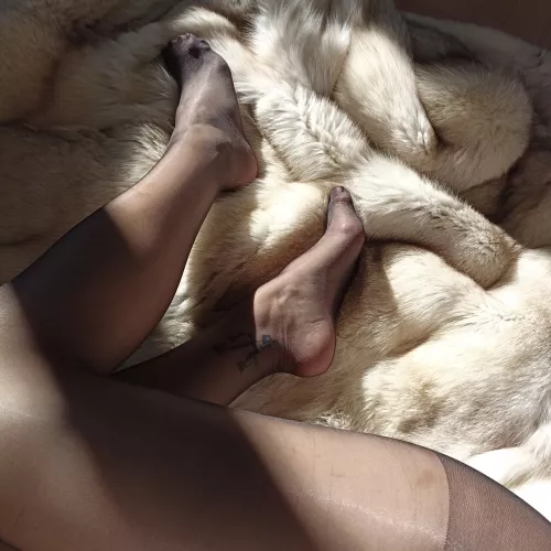 love that nylon feel 😇 [f] [oc]