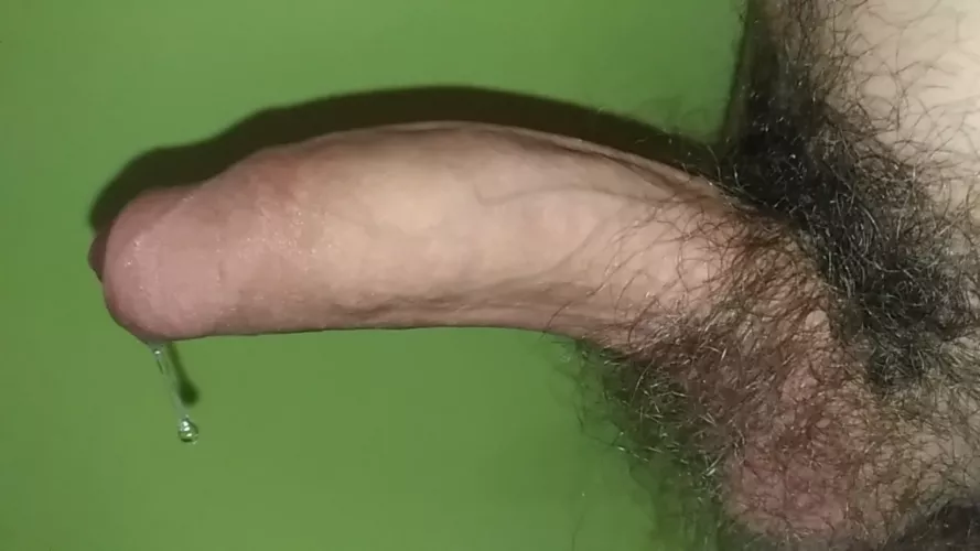 Love to taste my precum 😋
