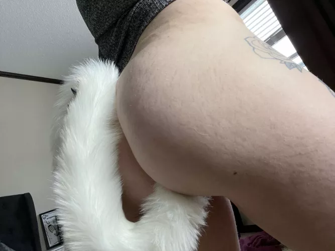 Love wearing this tail (f)