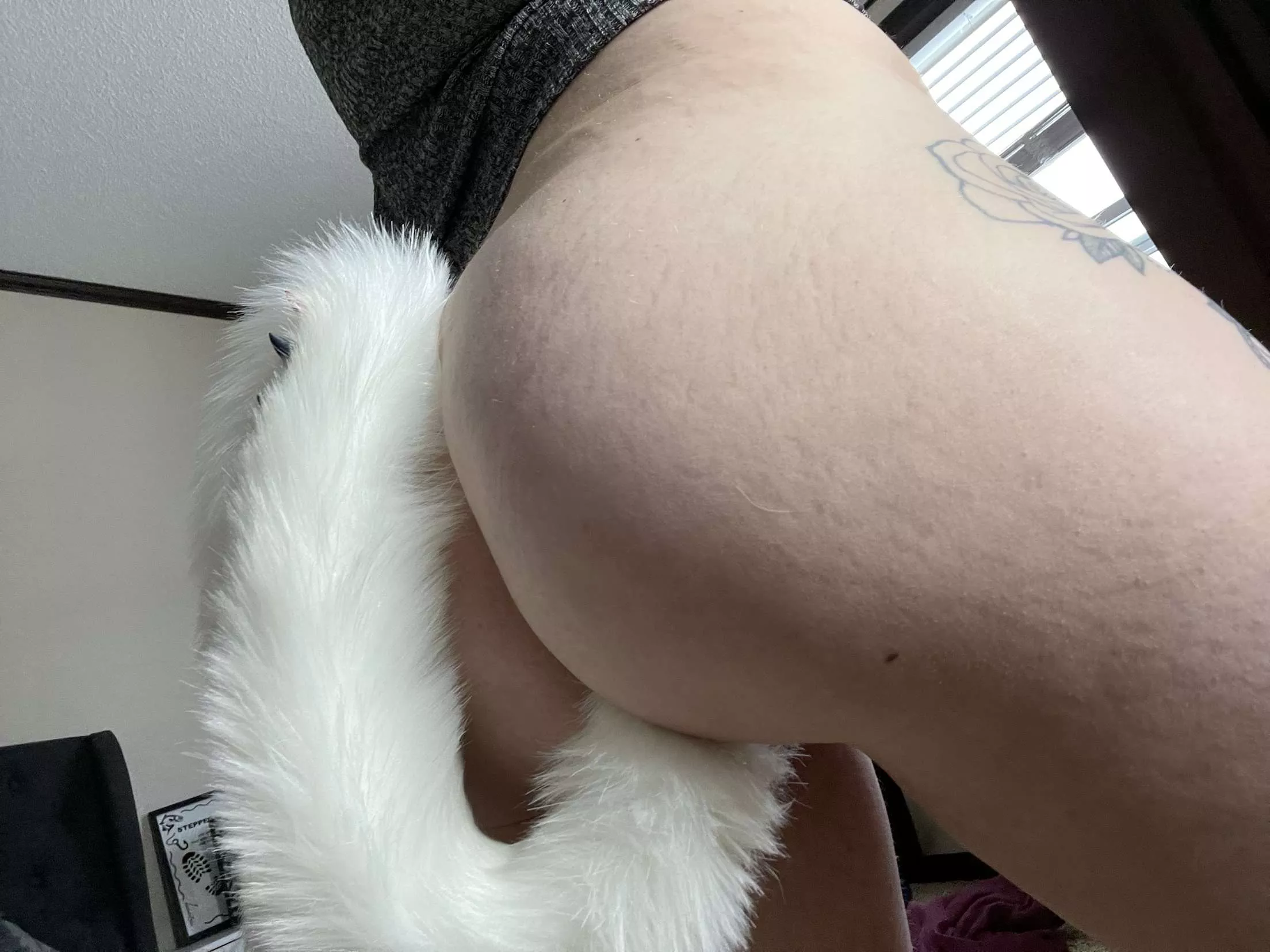 Love wearing this tail (f)