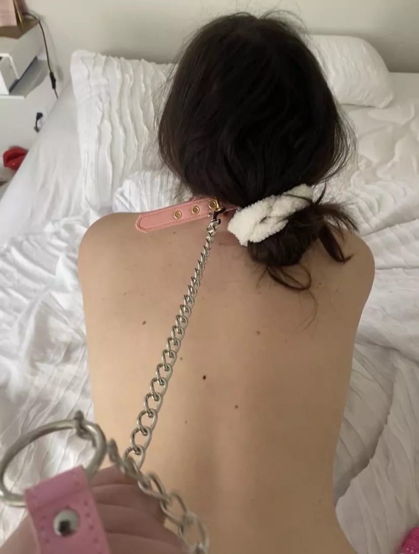 Loves getting her leash yanked.