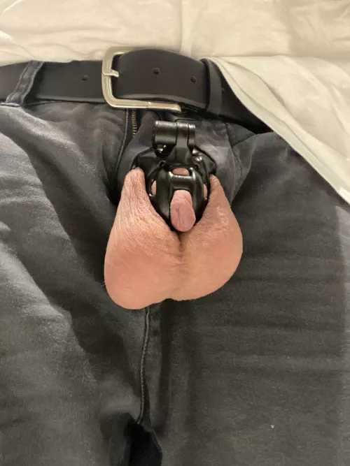 Loving life in the kink3d small baby cobra. Found my home