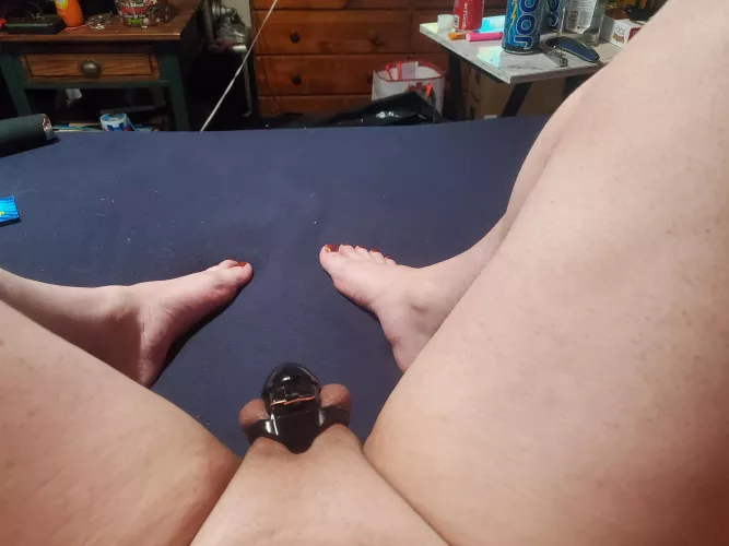 Loving my new cage