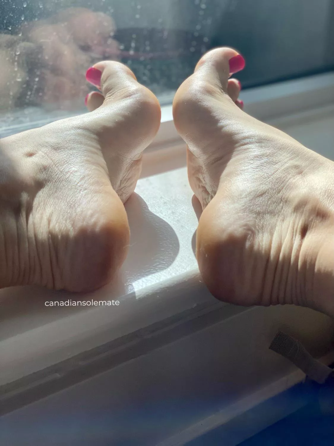 Loving the natural light on my arches. Loving the natural light on my arches.