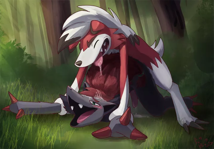 Lycanroc x zoroark (Laitue) [M/M]