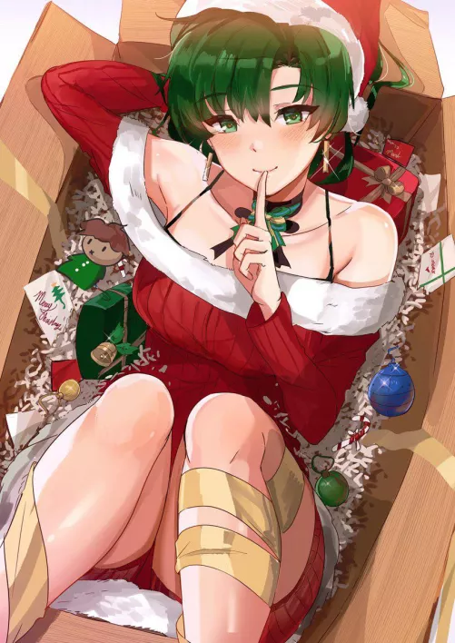 Lyn (Fire Emblem) As the Ultimate Christmas Present