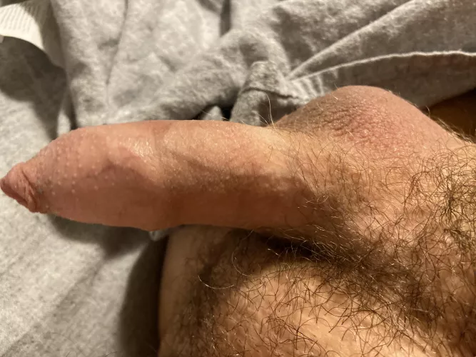 (M) A Penis